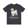 Maltese Latin Shirt, Vintage Dog Sketch Tee, Dog Latin Gift