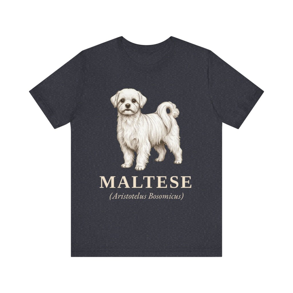Maltese Latin Shirt, Vintage Dog Sketch Tee, Dog Latin Gift