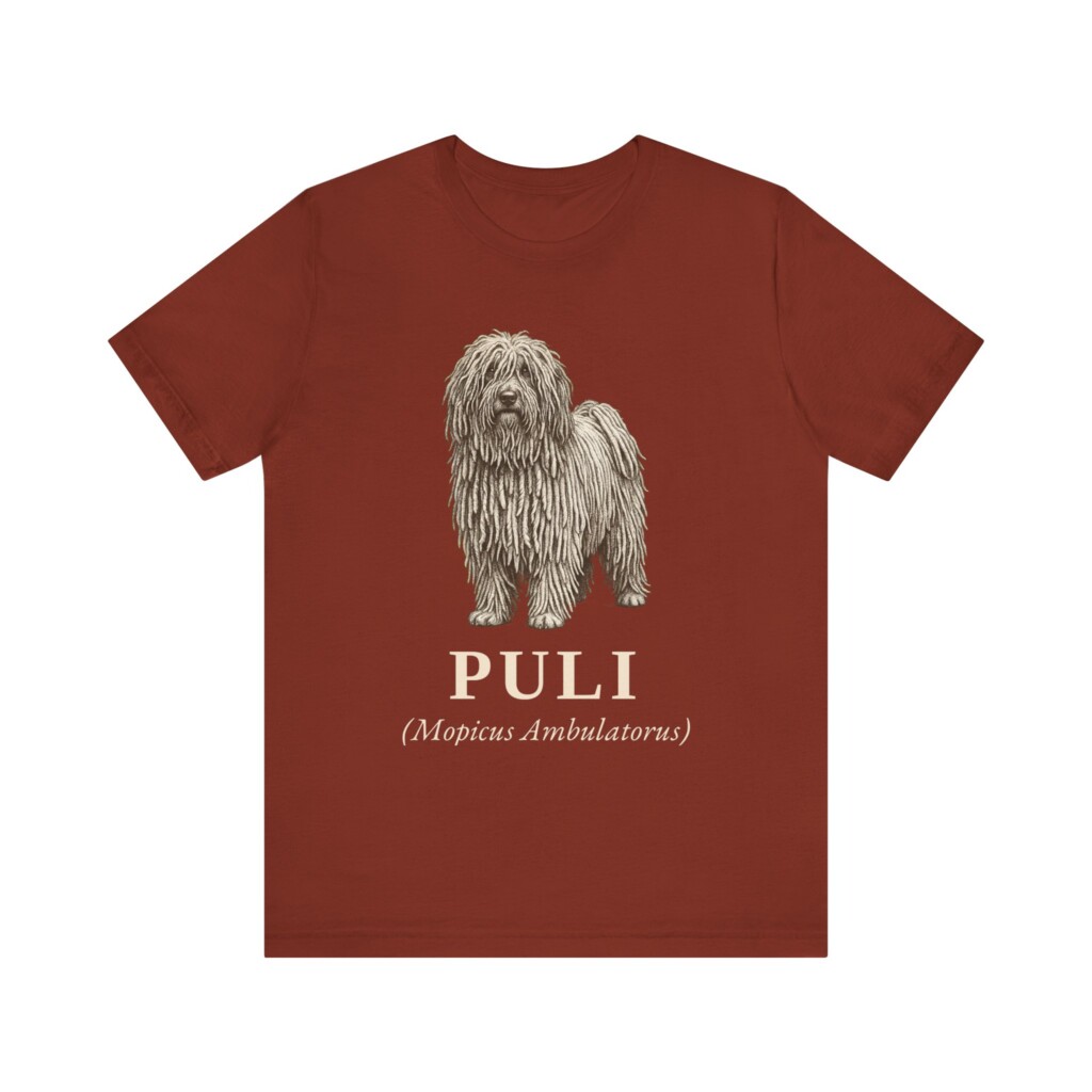 Puli Latin Shirt, Vintage Dog Sketch Tee, Dog Latin Gift Puli Latin Shirt, Vintage Dog Sketch Tee, Dog Latin Gift