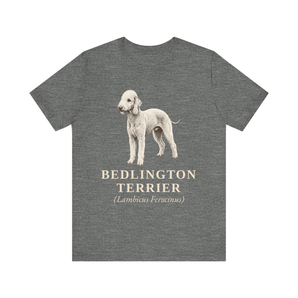 Bedlington Terrier Latin Shirt, Vintage Dog Sketch Tee, Dog Latin Gift Bedlington Terrier Latin Shirt, Vintage Dog Sketch Tee, Dog Latin Gift