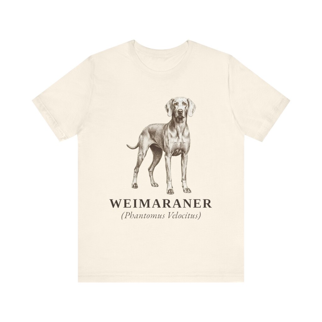 Weimaraner Latin Shirt, Vintage Dog Sketch Tee, Dog Latin Gift