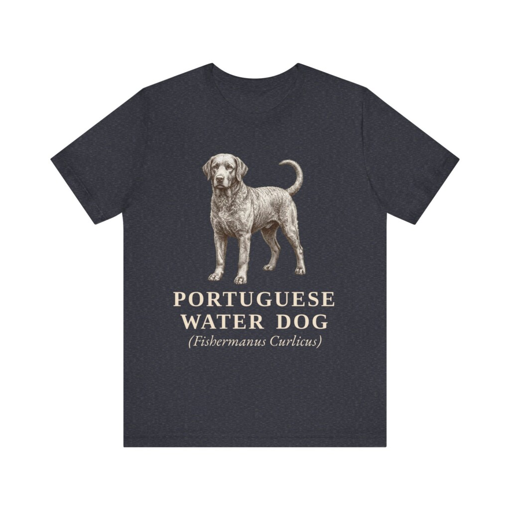 Portuguese Water Dog Latin Shirt, Vintage Dog Sketch Tee, Dog Latin Gift