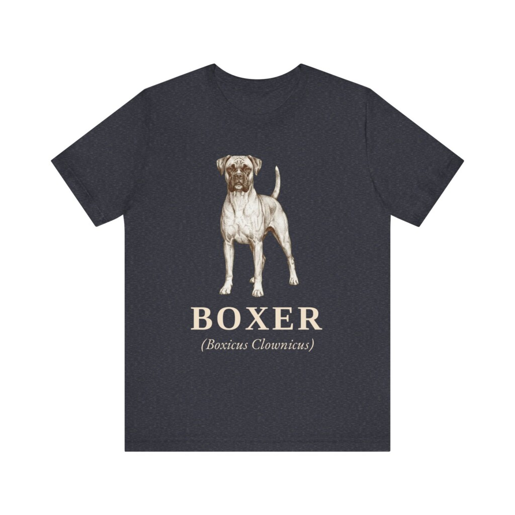 Boxer Latin Shirt, Vintage Dog Sketch Tee, Dog Latin Gift Boxer Latin Shirt, Vintage Dog Sketch Tee, Dog Latin Gift