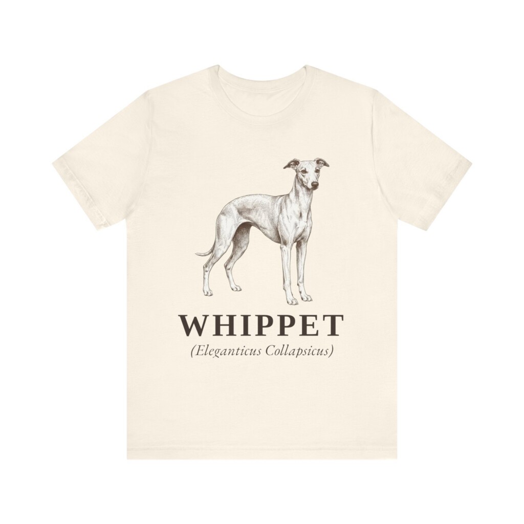 Whippet Latin Shirt, Vintage Dog Sketch Tee, Dog Latin Gift