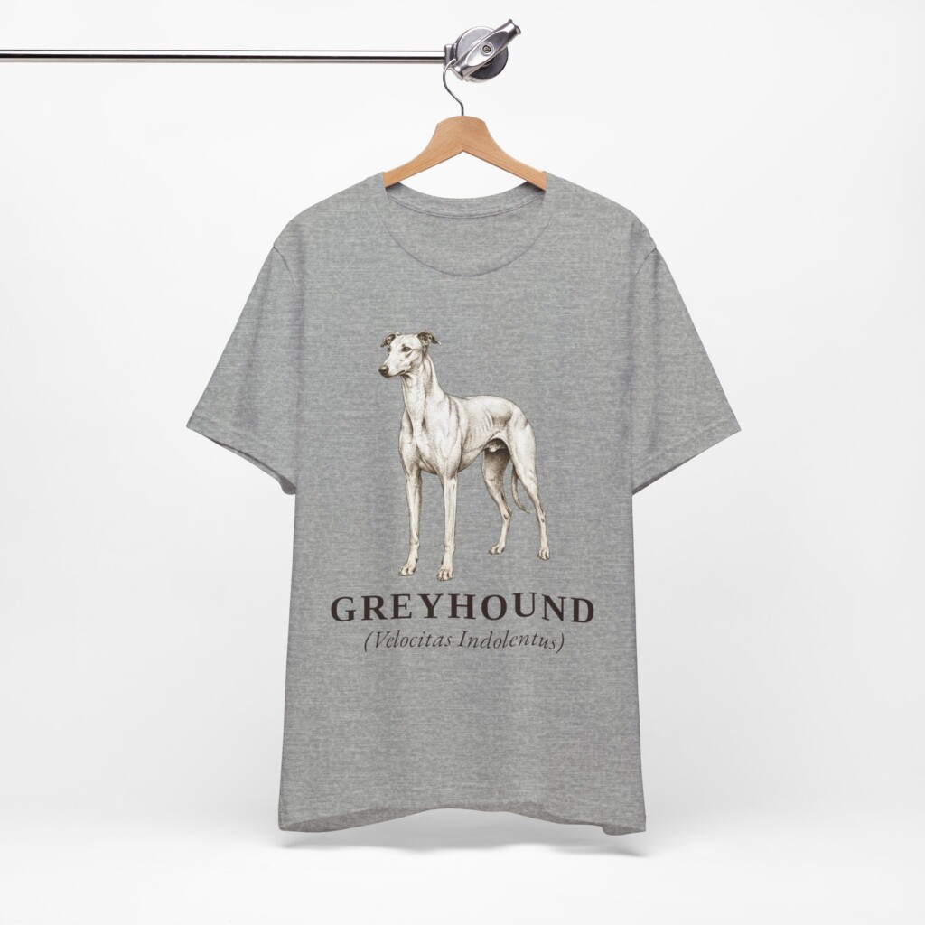 Greyhound Latin Shirt, Vintage Dog Sketch Tee, Dog Latin Gift