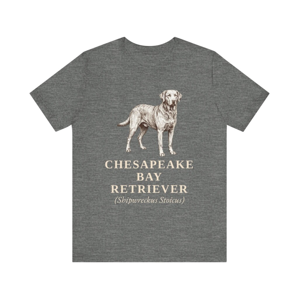 Chesapeake Bay Retriever Latin Shirt, Vintage Dog Sketch Tee, Dog Latin Gift Chesapeake Bay Retriever Latin Shirt, Vintage Dog Sketch Tee, Dog Latin Gift
