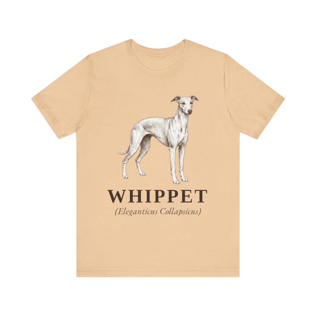 Whippet Latin Shirt, Vintage Dog Sketch Tee, Dog Latin Gift