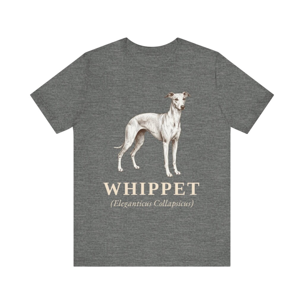 Whippet Latin Shirt, Vintage Dog Sketch Tee, Dog Latin Gift