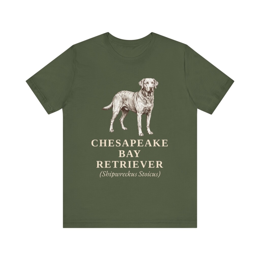 Chesapeake Bay Retriever Latin Shirt, Vintage Dog Sketch Tee, Dog Latin Gift Chesapeake Bay Retriever Latin Shirt, Vintage Dog Sketch Tee, Dog Latin Gift