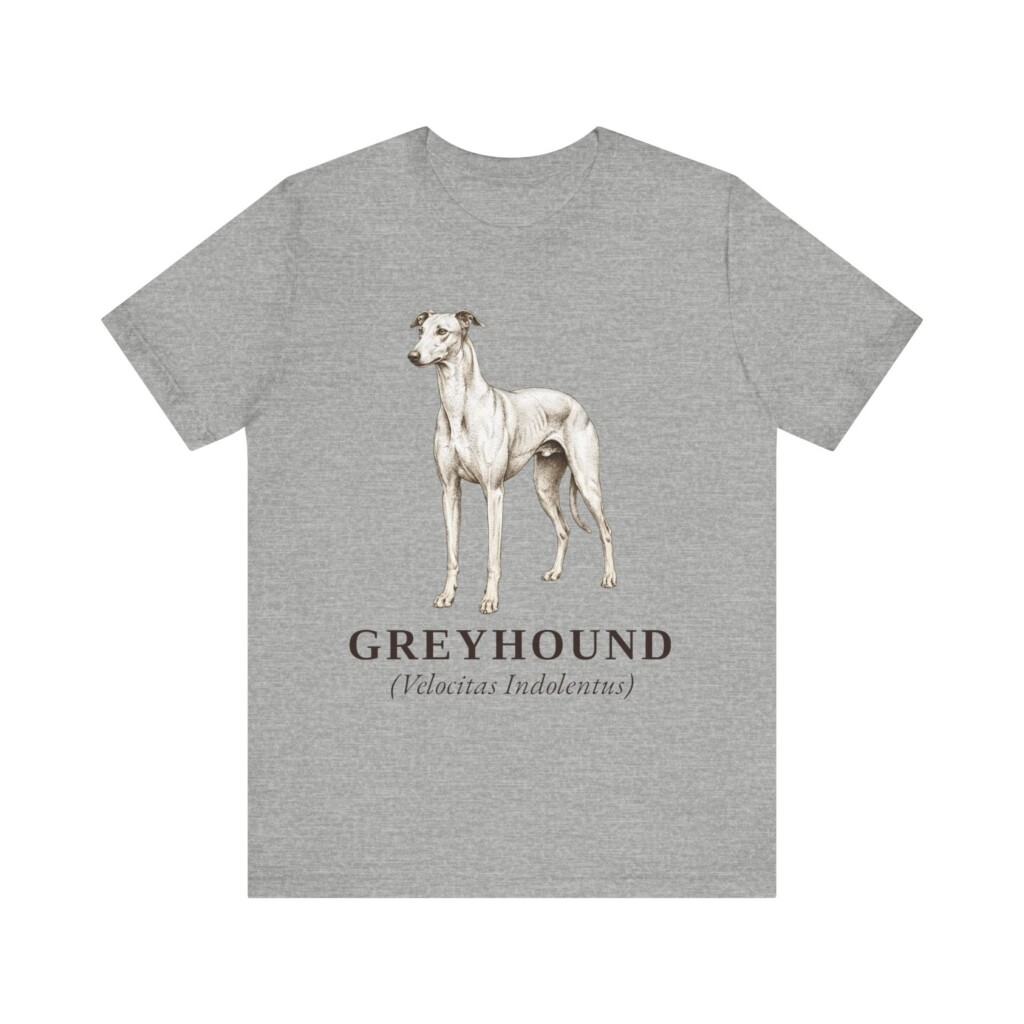 Greyhound Latin Shirt, Vintage Dog Sketch Tee, Dog Latin Gift
