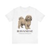 Havanese Latin Shirt, Vintage Dog Sketch Tee, Dog Latin Gift Havanese Latin Shirt, Vintage Dog Sketch Tee, Dog Latin Gift