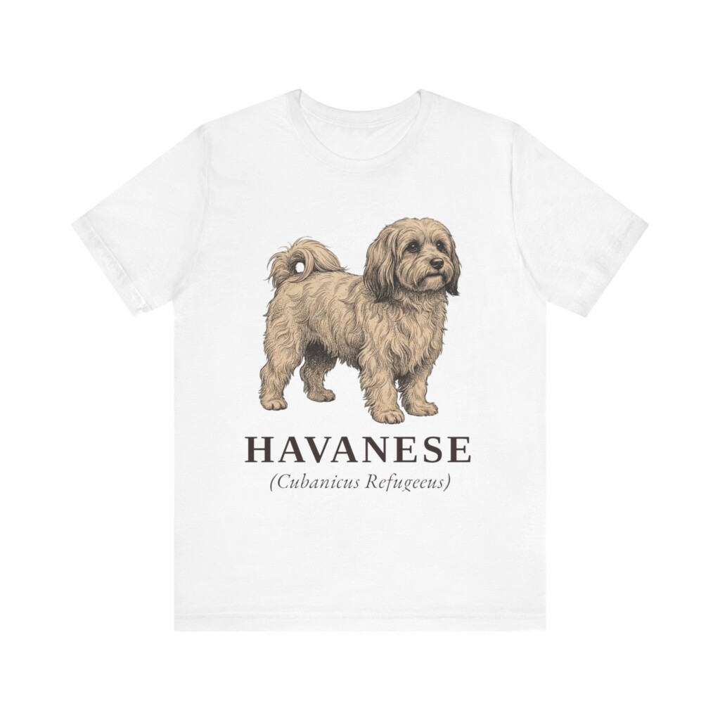 Havanese Latin Shirt, Vintage Dog Sketch Tee, Dog Latin Gift Havanese Latin Shirt, Vintage Dog Sketch Tee, Dog Latin Gift