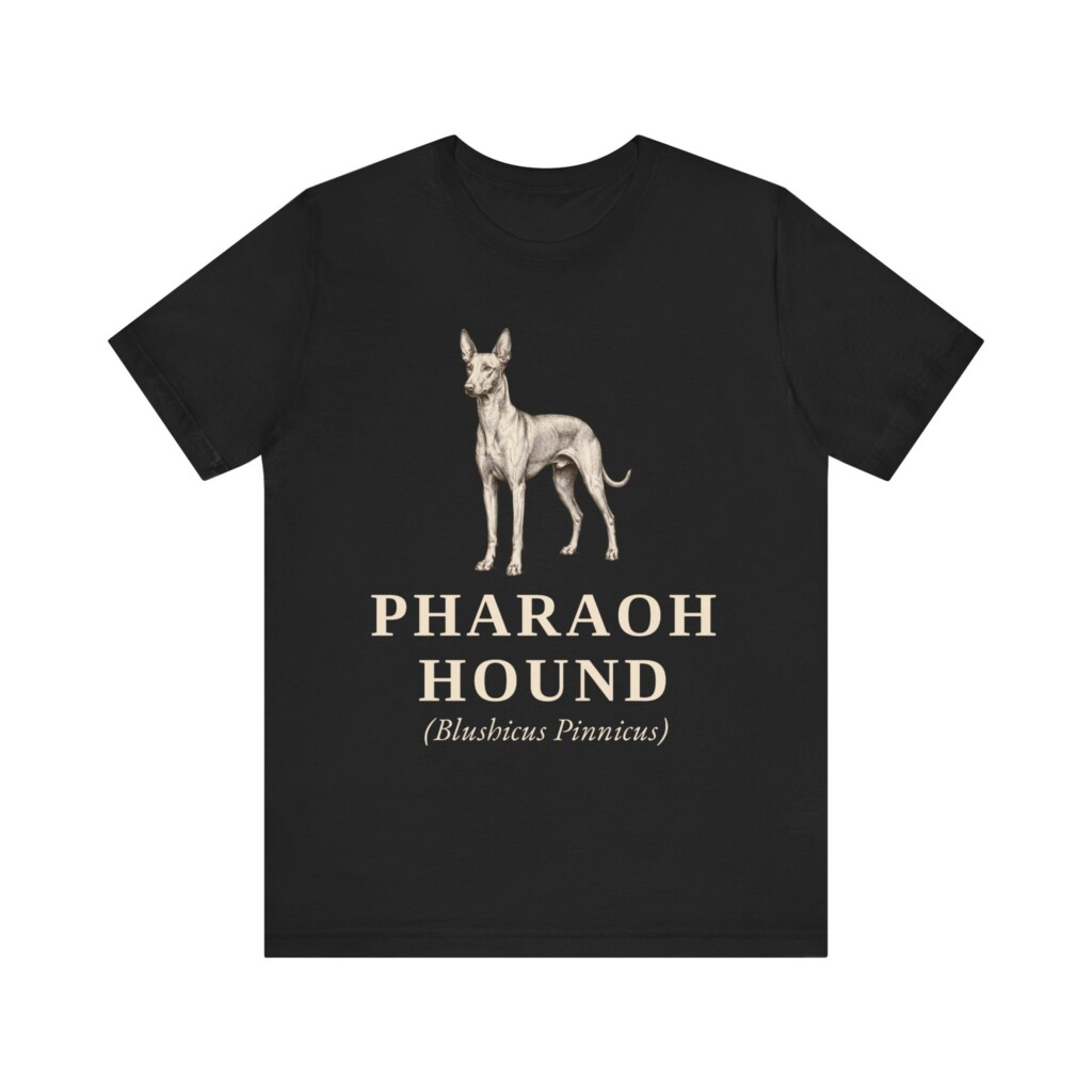 Pharaoh Hound Latin Shirt, Vintage Dog Sketch Tee, Dog Latin Gift