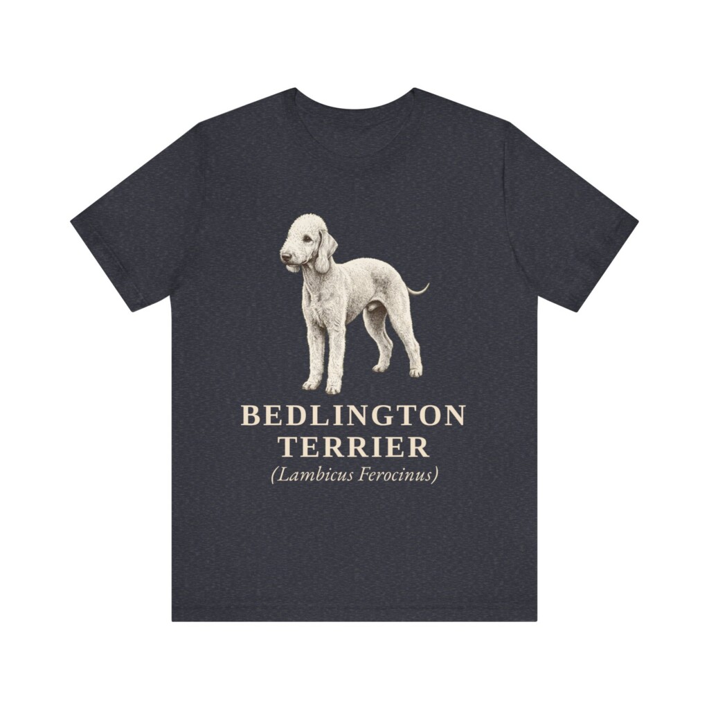 Bedlington Terrier Latin Shirt, Vintage Dog Sketch Tee, Dog Latin Gift Bedlington Terrier Latin Shirt, Vintage Dog Sketch Tee, Dog Latin Gift