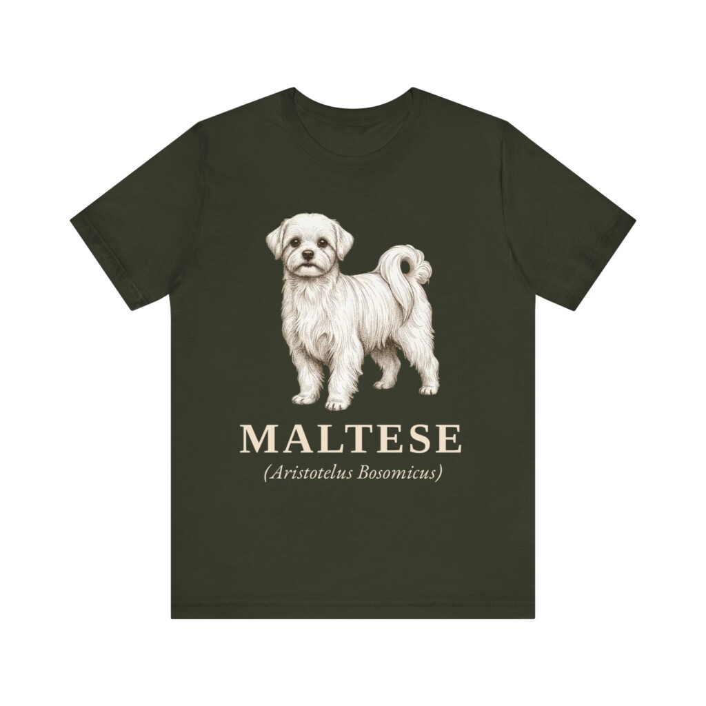 Maltese Latin Shirt, Vintage Dog Sketch Tee, Dog Latin Gift