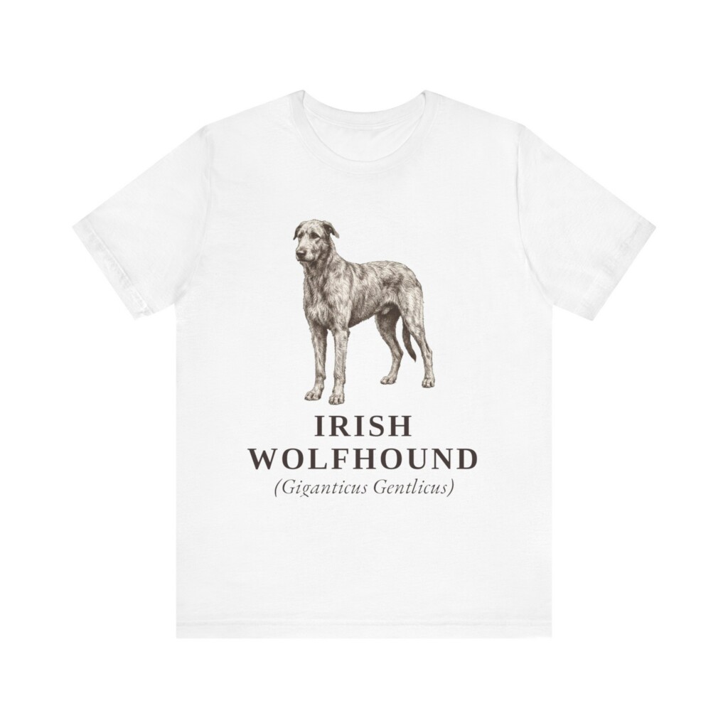 Irish Wolfhound Latin Shirt, Vintage Dog Sketch Tee, Dog Latin Gift Irish Wolfhound Latin Shirt, Vintage Dog Sketch Tee, Dog Latin Gift