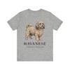 Havanese Latin Shirt, Vintage Dog Sketch Tee, Dog Latin Gift Havanese Latin Shirt, Vintage Dog Sketch Tee, Dog Latin Gift