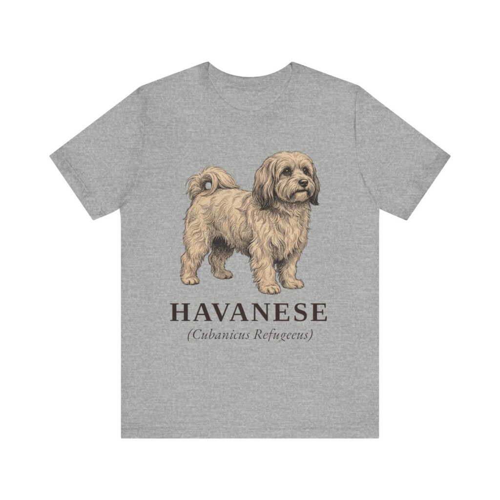 Havanese Latin Shirt, Vintage Dog Sketch Tee, Dog Latin Gift Havanese Latin Shirt, Vintage Dog Sketch Tee, Dog Latin Gift