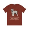 Bergamasco Sheepdog Latin Shirt, Vintage Dog Sketch Tee, Dog Latin Gift