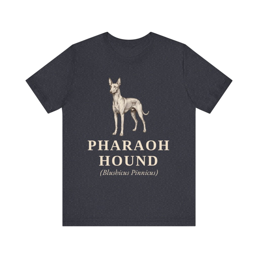 Pharaoh Hound Latin Shirt, Vintage Dog Sketch Tee, Dog Latin Gift