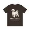 Maltese Latin Shirt, Vintage Dog Sketch Tee, Dog Latin Gift