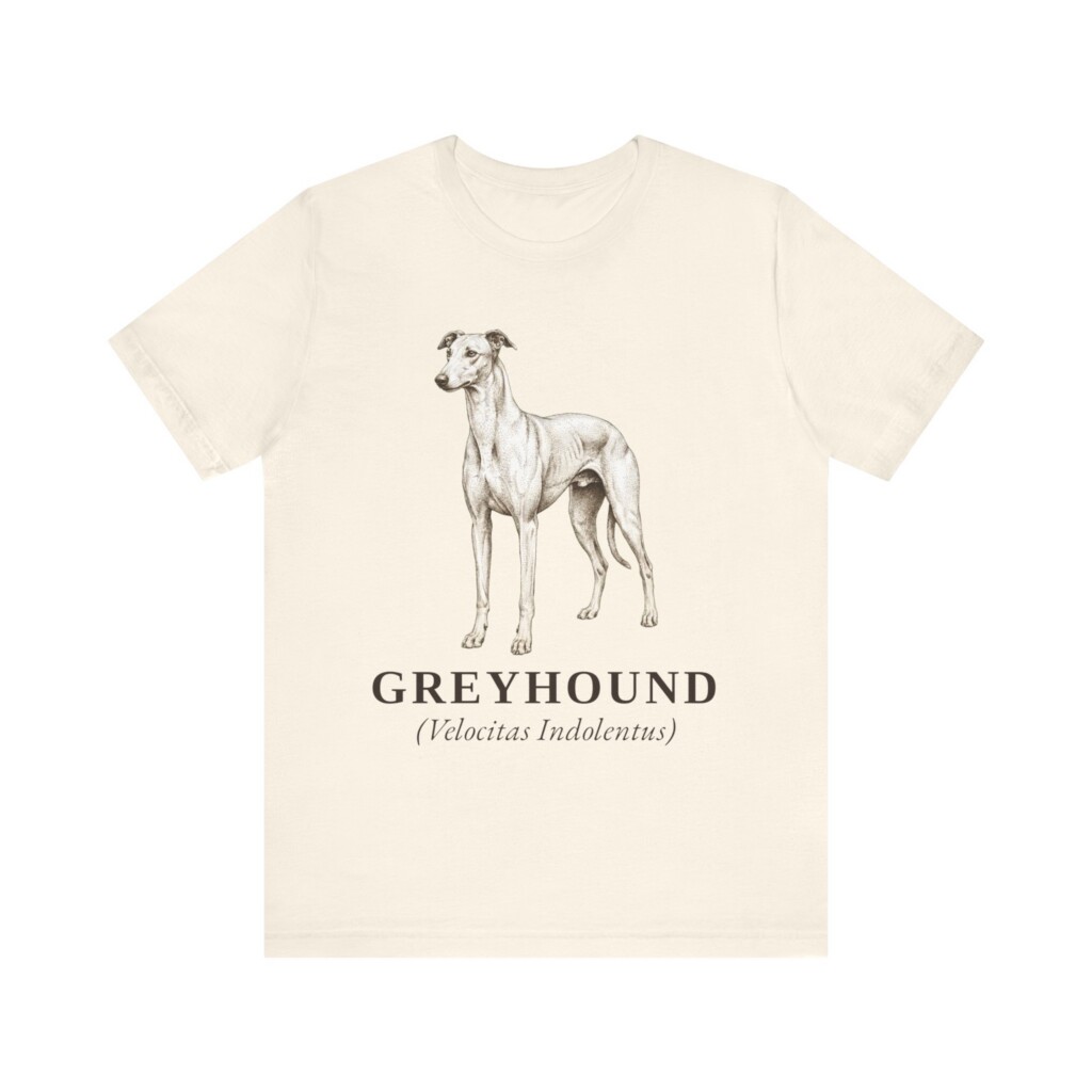 Greyhound Latin Shirt, Vintage Dog Sketch Tee, Dog Latin Gift