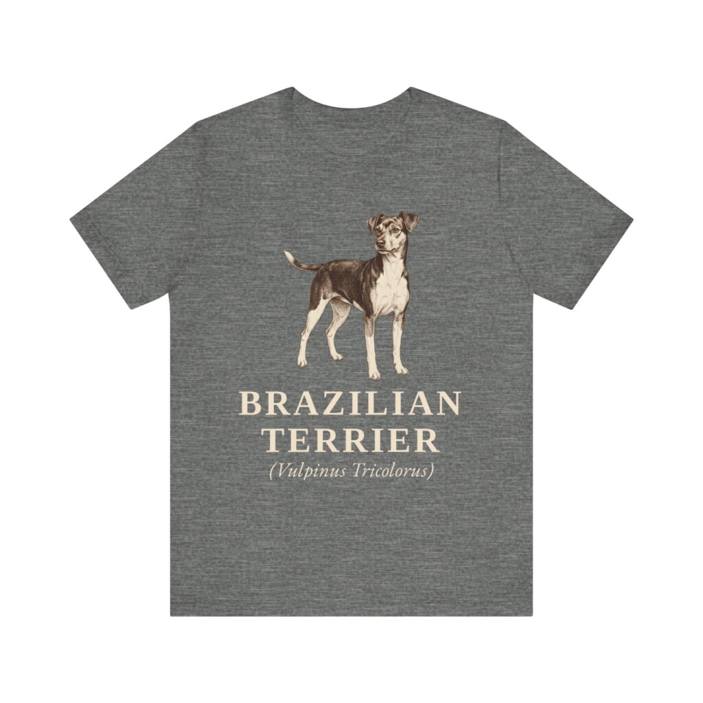 Brazilian Terrier Latin Shirt, Vintage Dog Sketch Tee, Dog Latin Gift
