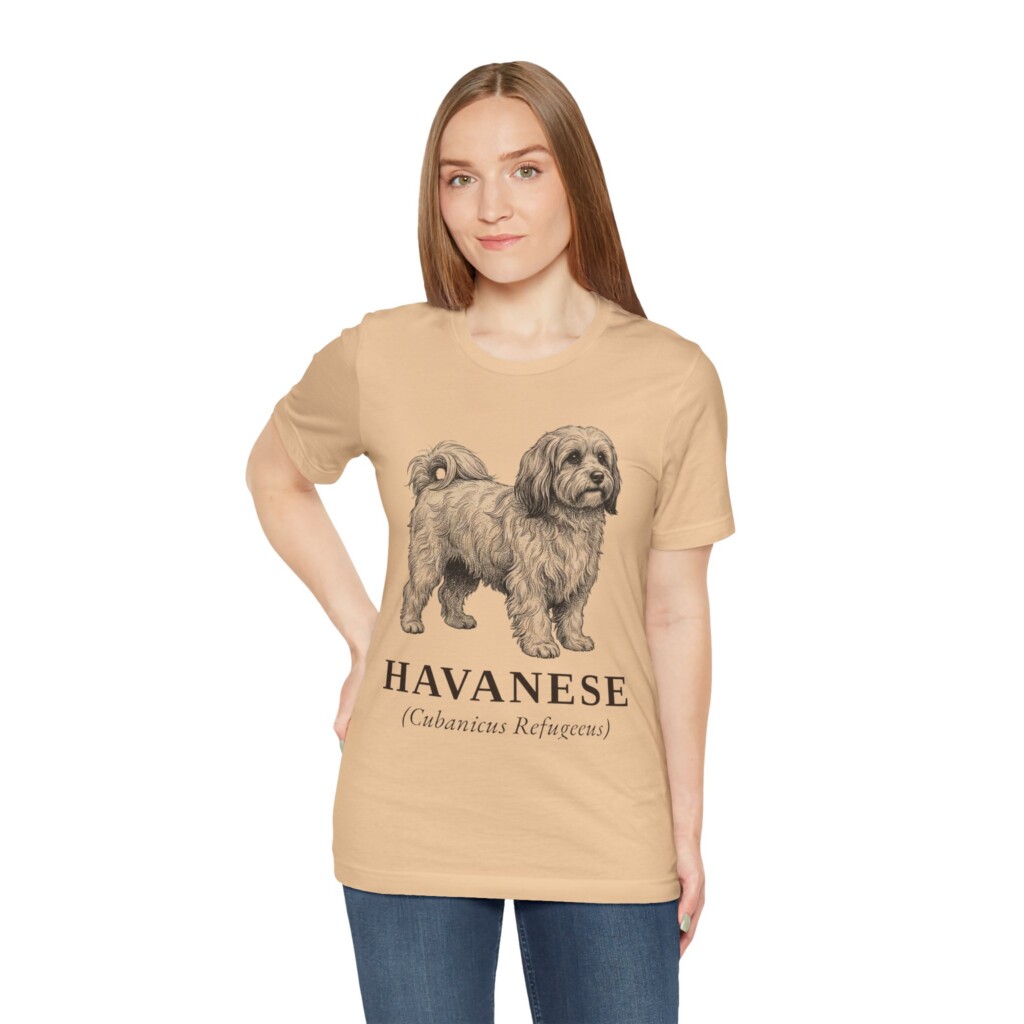 Havanese Latin Shirt, Vintage Dog Sketch Tee, Dog Latin Gift Havanese Latin Shirt, Vintage Dog Sketch Tee, Dog Latin Gift