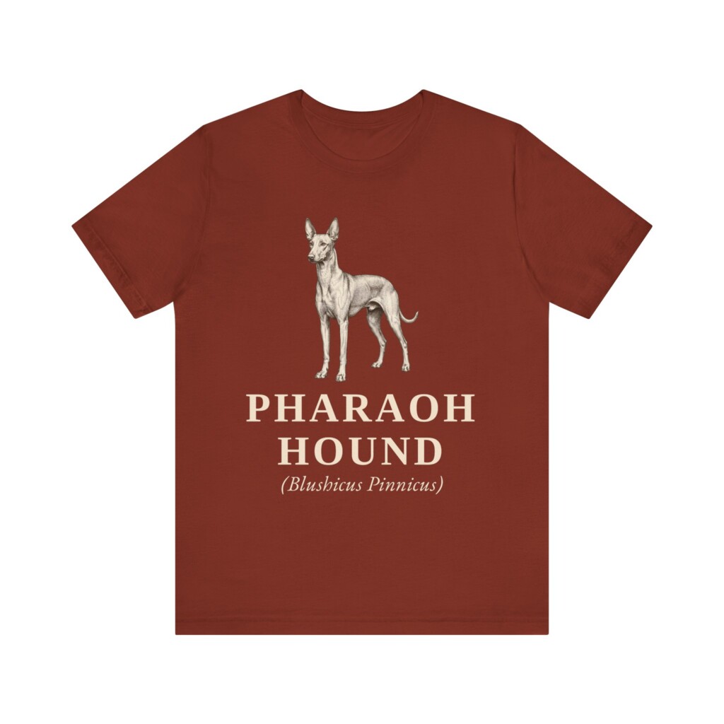 Pharaoh Hound Latin Shirt, Vintage Dog Sketch Tee, Dog Latin Gift