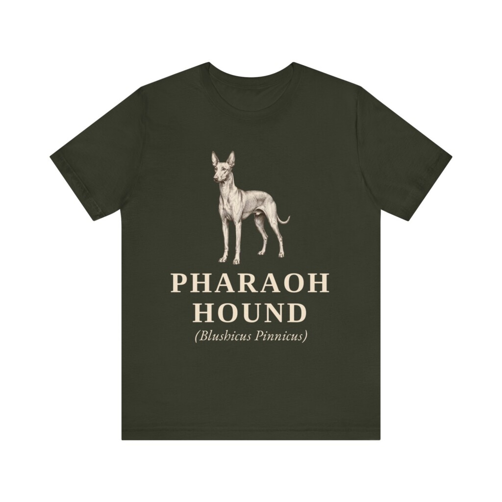 Pharaoh Hound Latin Shirt, Vintage Dog Sketch Tee, Dog Latin Gift