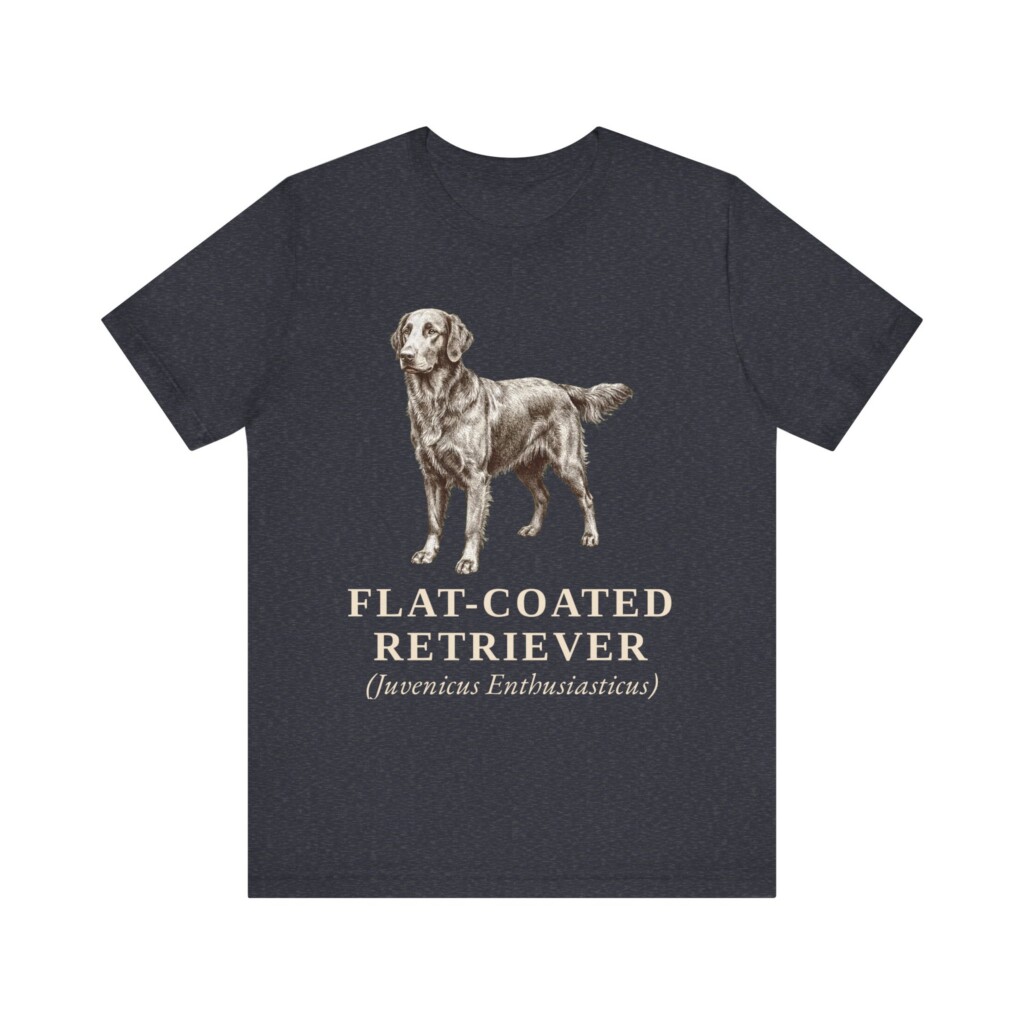 Flat-Coated Retriever Latin Shirt, Vintage Dog Sketch Tee, Dog Latin Gift