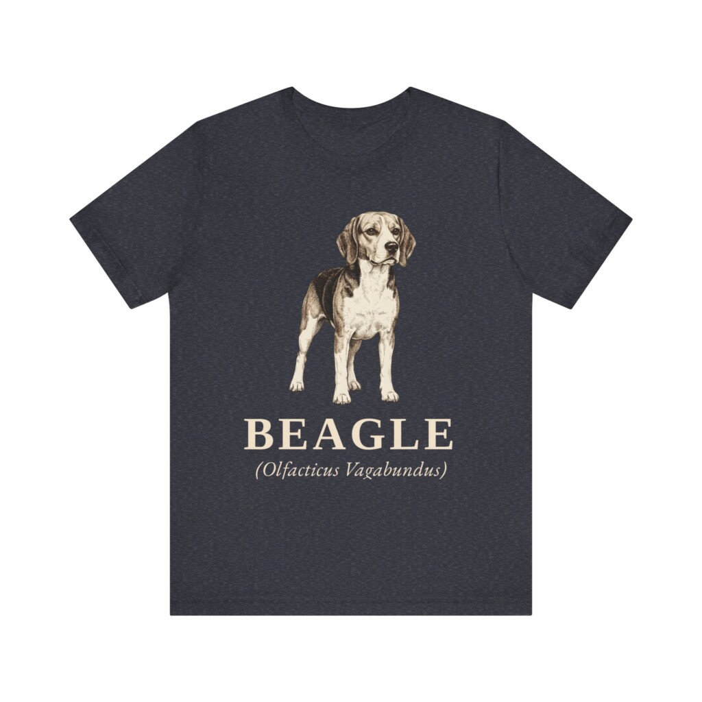 Beagle Latin Shirt, Vintage Dog Sketch Tee, Dog Latin Gift Beagle Latin Shirt, Vintage Dog Sketch Tee, Dog Latin Gift