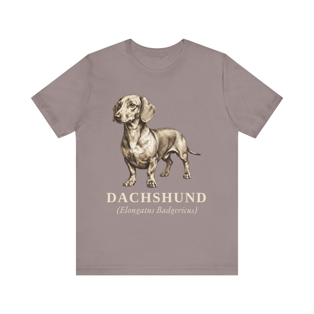 Dachshund Latin Shirt, Vintage Dog Sketch Tee, Dog Latin Gift Dachshund Latin Shirt, Vintage Dog Sketch Tee, Dog Latin Gift
