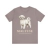Maltese Latin Shirt, Vintage Dog Sketch Tee, Dog Latin Gift