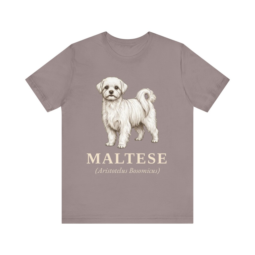 Maltese Latin Shirt, Vintage Dog Sketch Tee, Dog Latin Gift