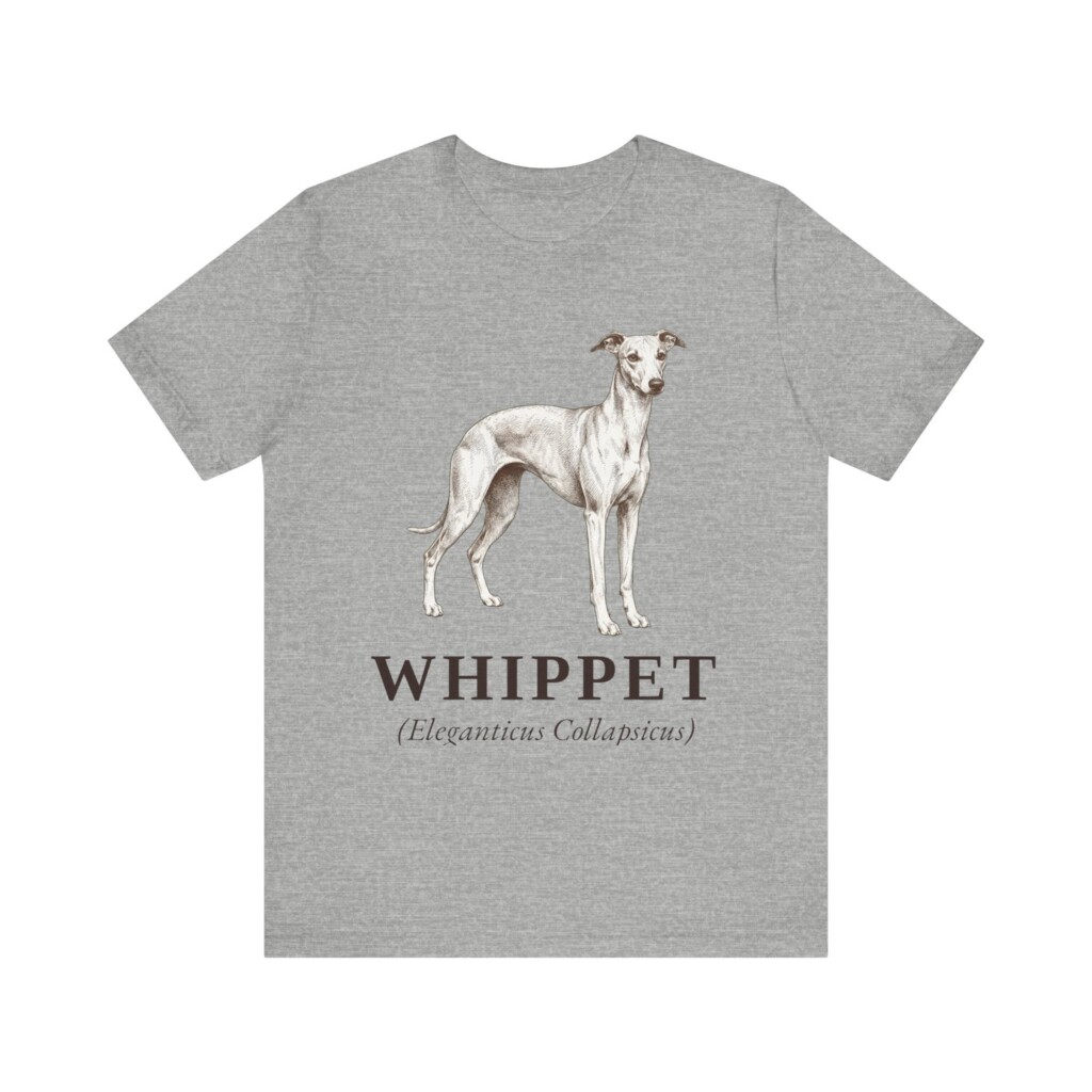 Whippet Latin Shirt, Vintage Dog Sketch Tee, Dog Latin Gift