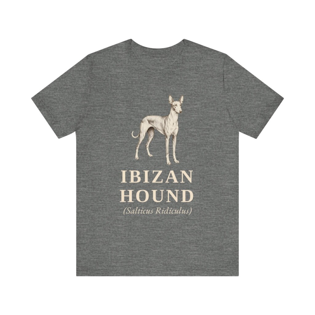 Ibizan Hound Latin Shirt, Vintage Dog Sketch Tee, Dog Latin Gift Ibizan Hound Latin Shirt, Vintage Dog Sketch Tee, Dog Latin Gift