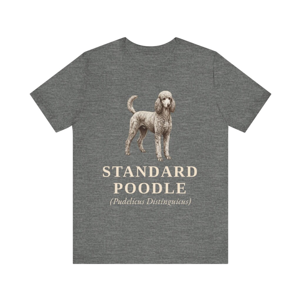 Standard Poodle Latin Shirt, Vintage Dog Sketch Tee, Dog Latin Gift