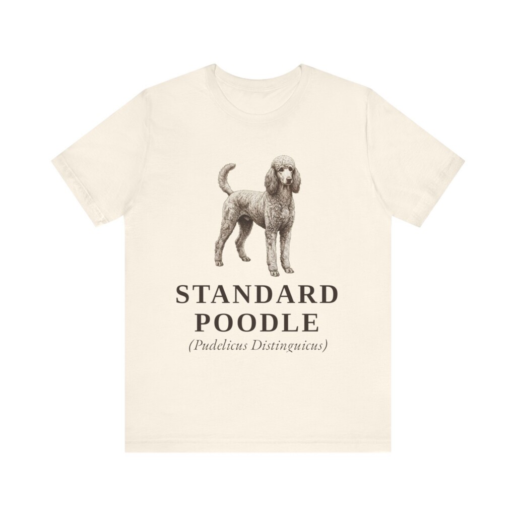 Standard Poodle Latin Shirt, Vintage Dog Sketch Tee, Dog Latin Gift