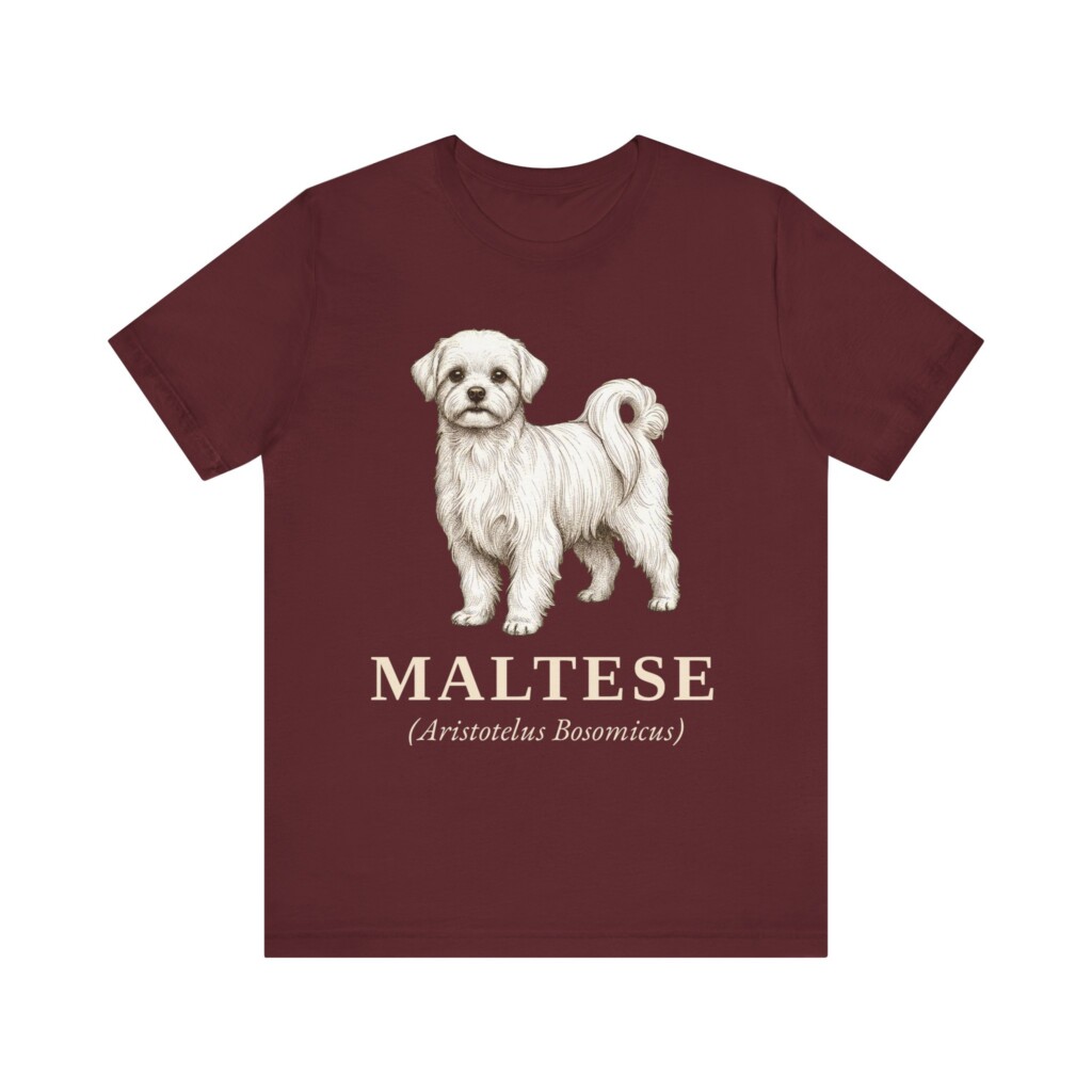Maltese Latin Shirt, Vintage Dog Sketch Tee, Dog Latin Gift