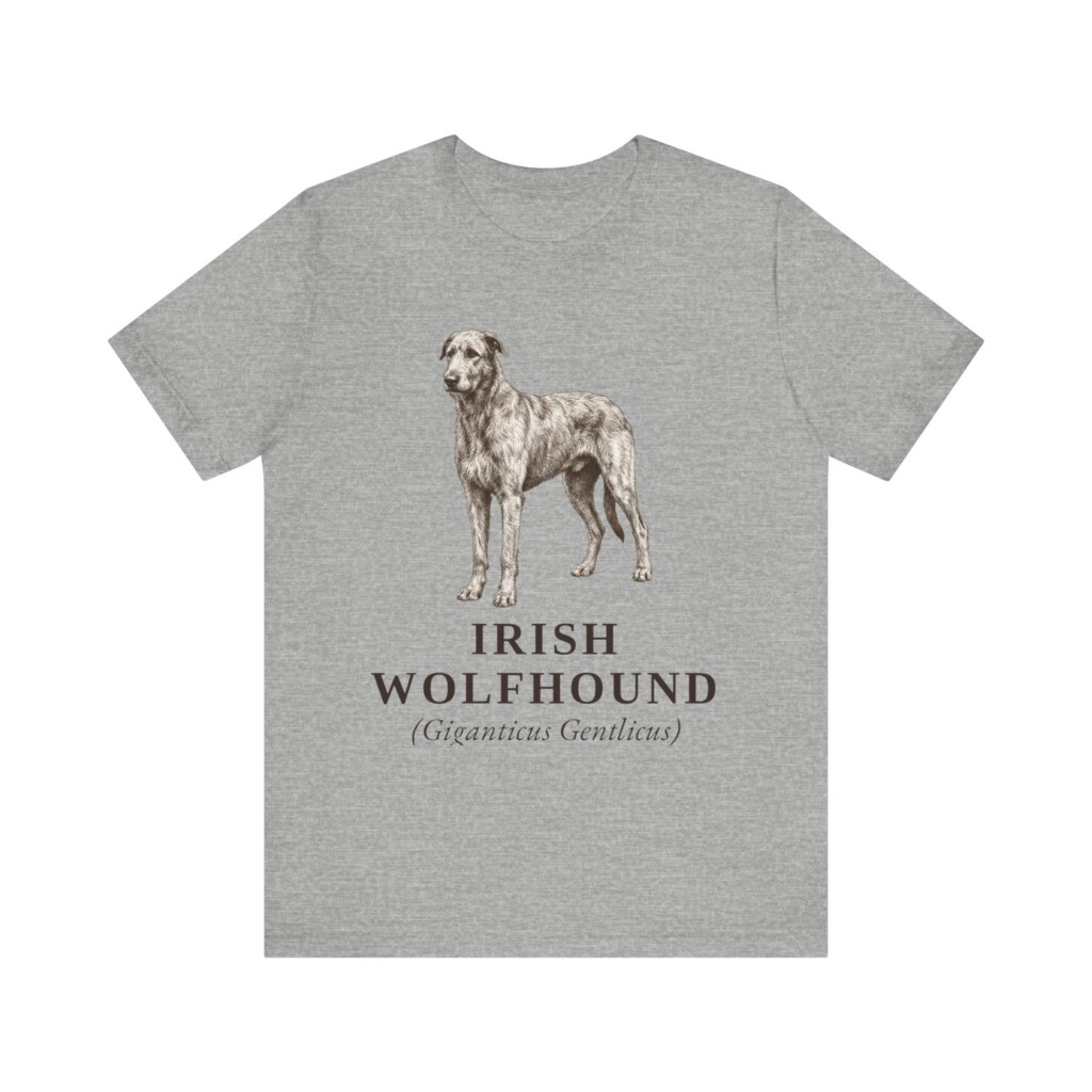 Irish Wolfhound Latin Shirt, Vintage Dog Sketch Tee, Dog Latin Gift Irish Wolfhound Latin Shirt, Vintage Dog Sketch Tee, Dog Latin Gift