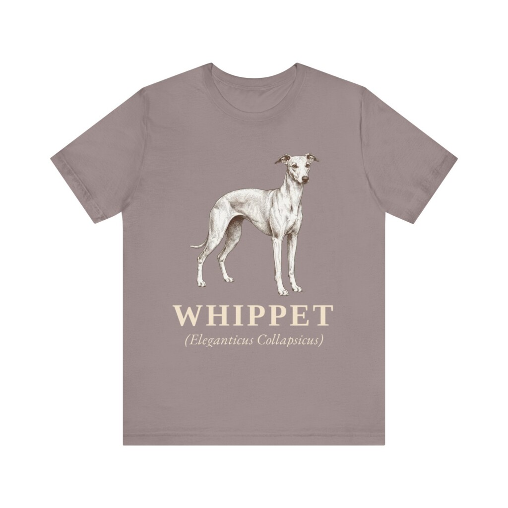 Whippet Latin Shirt, Vintage Dog Sketch Tee, Dog Latin Gift