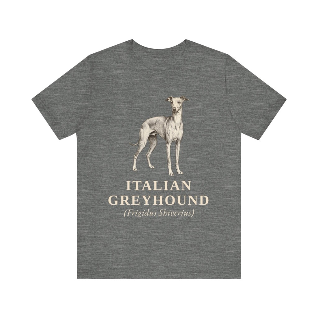 Italian Greyhound Latin Shirt, Vintage Dog Sketch Tee, Dog Latin Gift