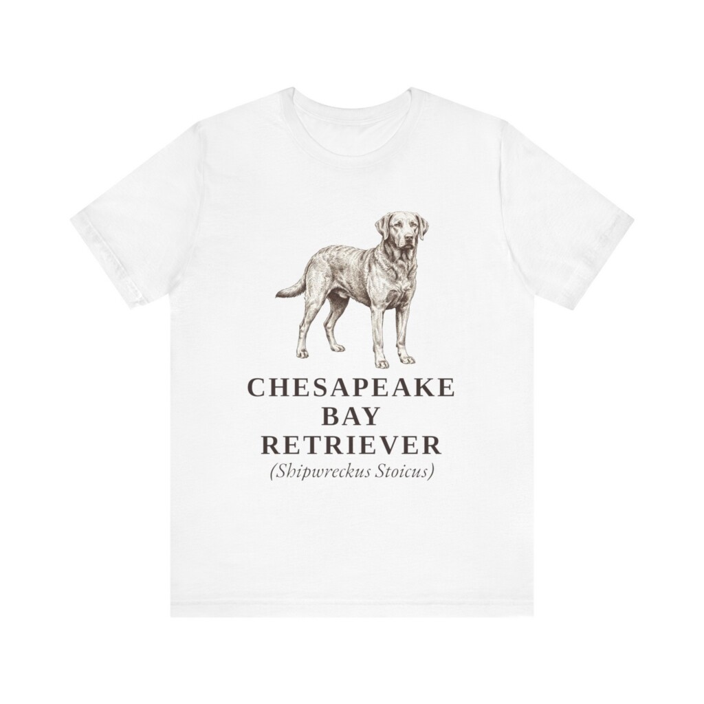 Chesapeake Bay Retriever Latin Shirt, Vintage Dog Sketch Tee, Dog Latin Gift Chesapeake Bay Retriever Latin Shirt, Vintage Dog Sketch Tee, Dog Latin Gift