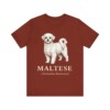 Maltese Latin Shirt, Vintage Dog Sketch Tee, Dog Latin Gift