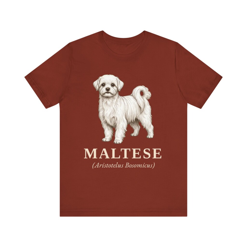 Maltese Latin Shirt, Vintage Dog Sketch Tee, Dog Latin Gift