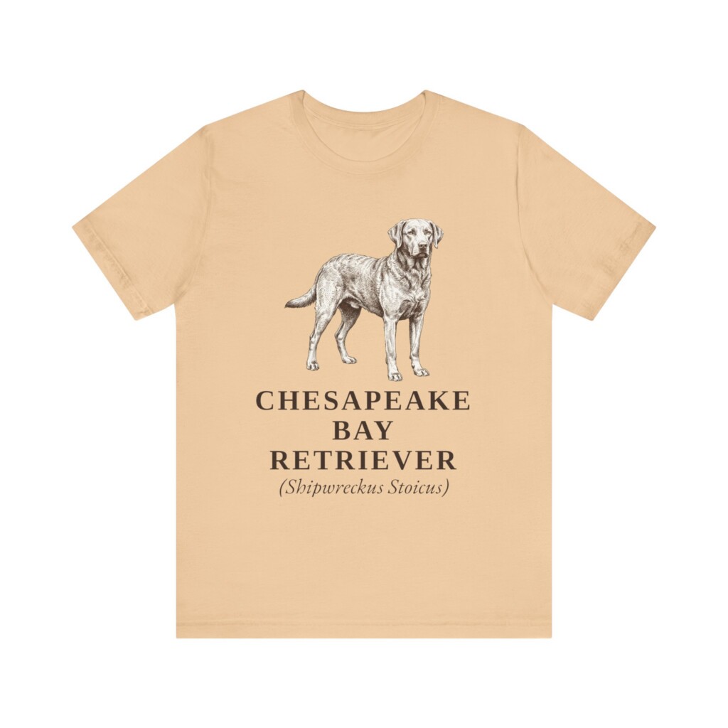 Chesapeake Bay Retriever Latin Shirt, Vintage Dog Sketch Tee, Dog Latin Gift Chesapeake Bay Retriever Latin Shirt, Vintage Dog Sketch Tee, Dog Latin Gift
