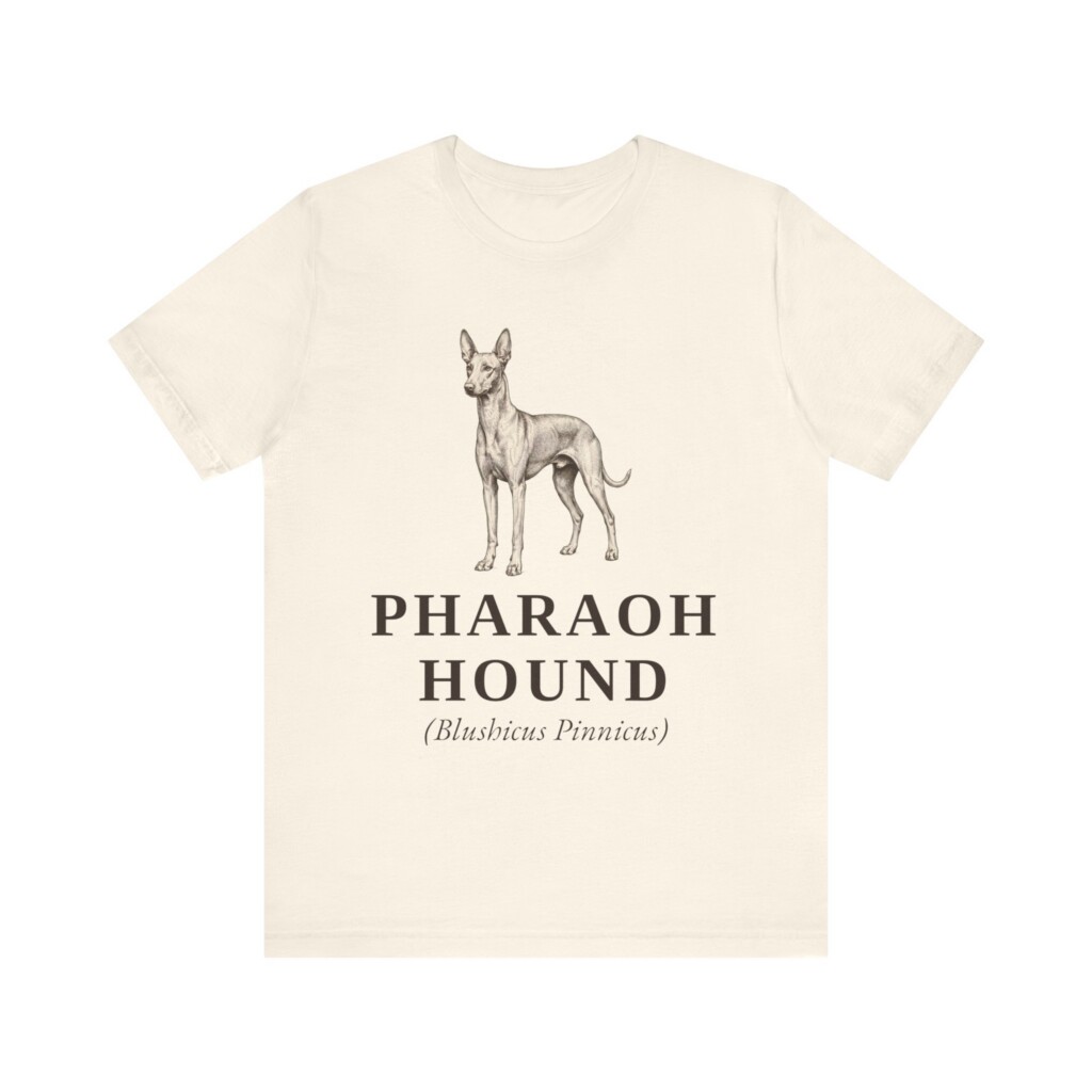 Pharaoh Hound Latin Shirt, Vintage Dog Sketch Tee, Dog Latin Gift