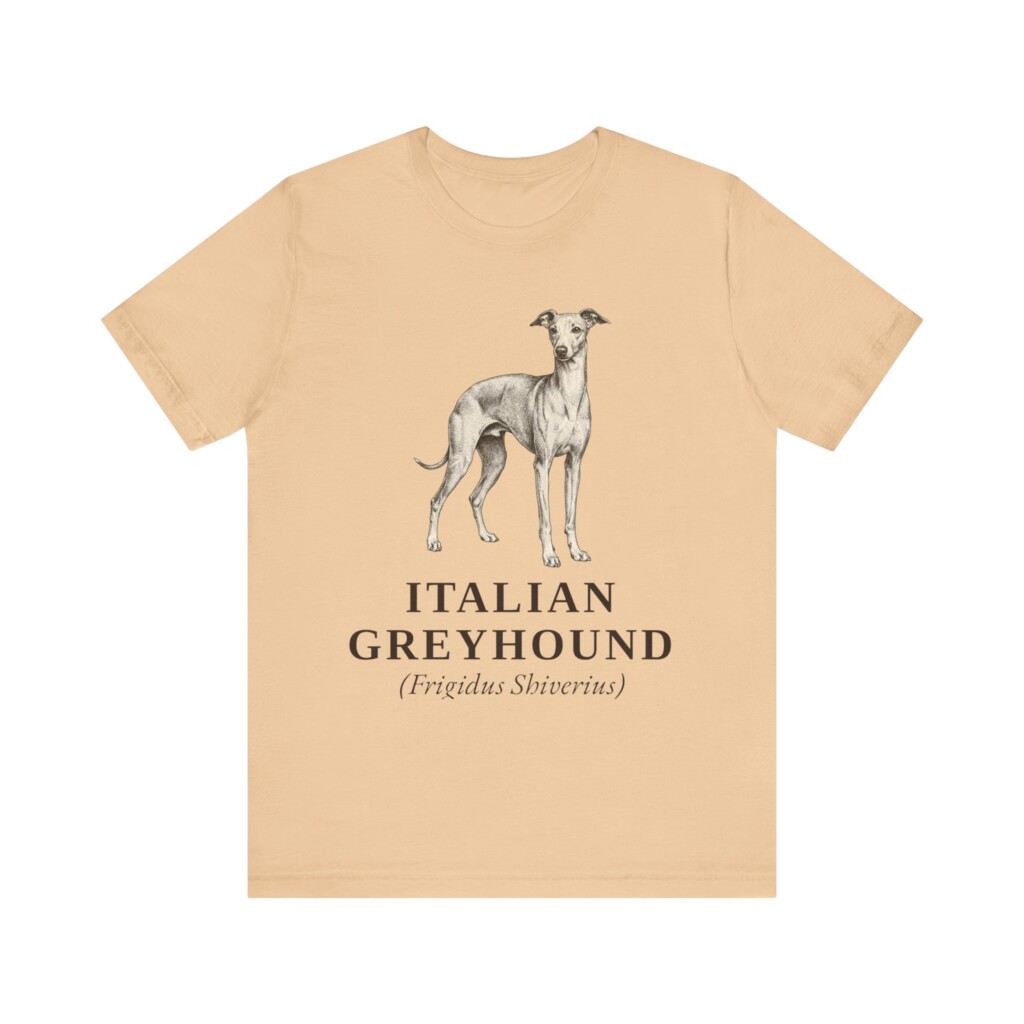 Italian Greyhound Latin Shirt, Vintage Dog Sketch Tee, Dog Latin Gift
