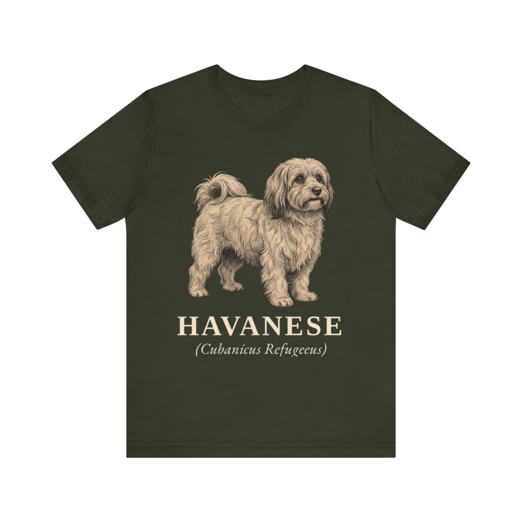 Havanese Latin Shirt, Vintage Dog Sketch Tee, Dog Latin Gift Havanese Latin Shirt, Vintage Dog Sketch Tee, Dog Latin Gift